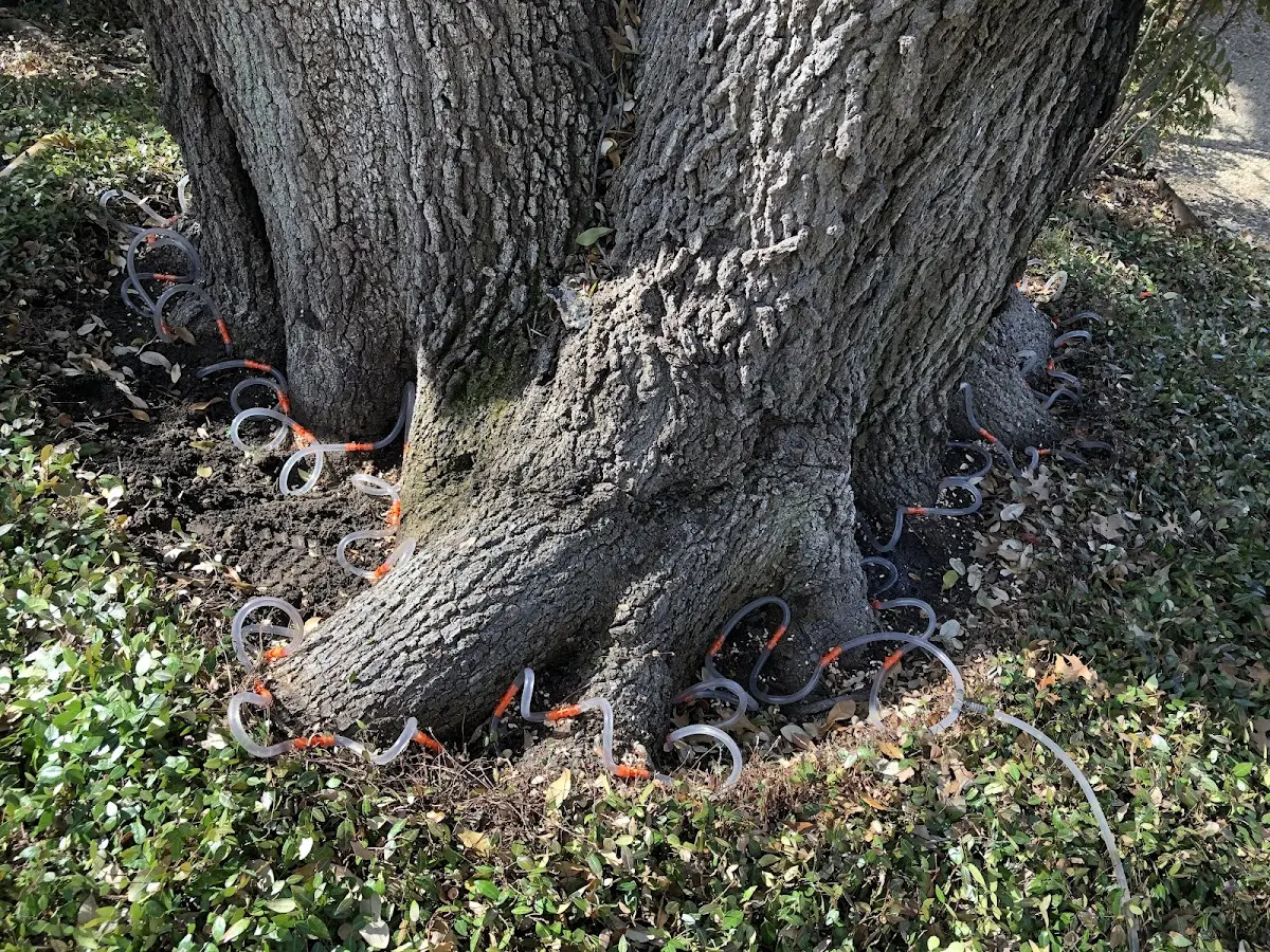 Detailed Shrub and Hedge Trimming job site in Ophir